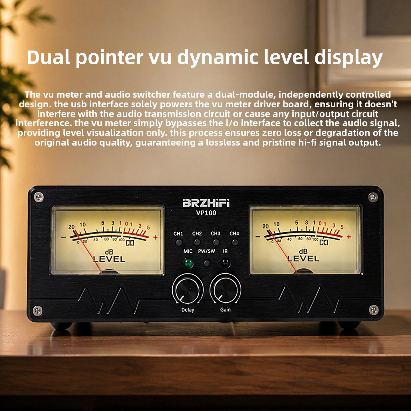 BRZHIFI 2027 new VP100 music l - огляд і ціна Audio Without Music